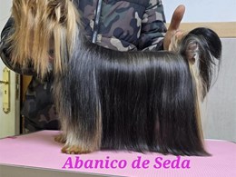 Guerlain de Abanico de Seda 