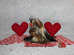 Guerlain de Abanico de Seda 