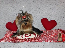 Guerlain de Abanico de Seda 