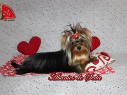 Guerlain de Abanico de Seda 