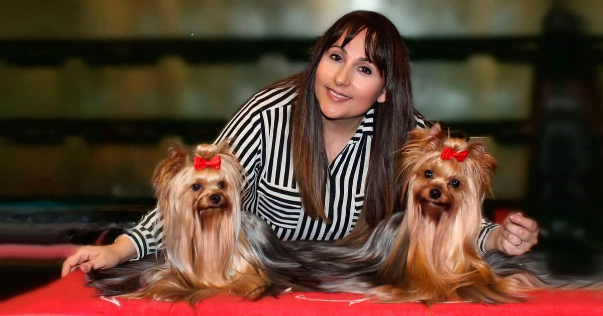 Contáctanos para encontrar tu cachorro en Abanico de seda