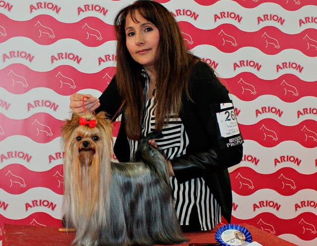 Abanico de seda
