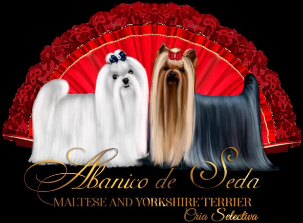Abanico de Seda