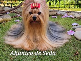 La pequeña Ada ??
